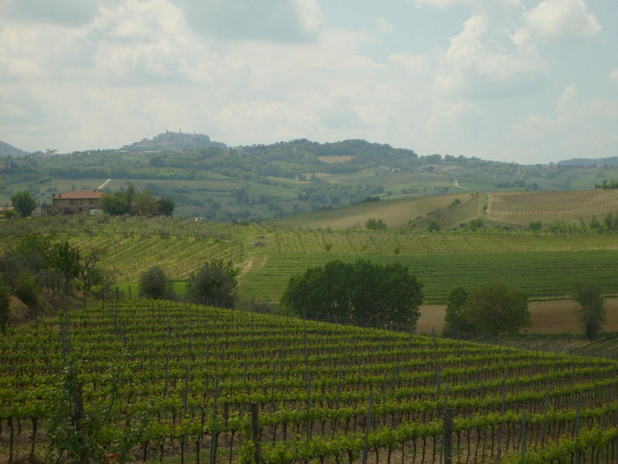 L'Orto Di Panza Bed & Breakfast Abbadia di Montepulciano Exterior photo